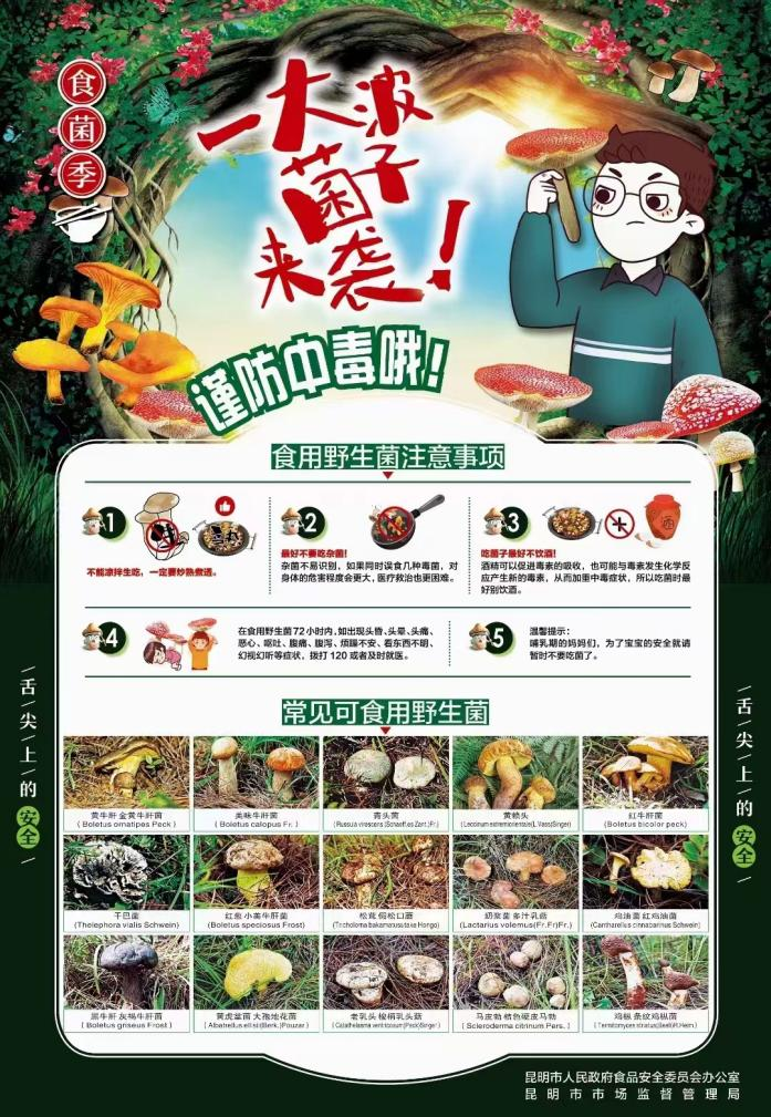 云南商务职业学院开展预防野生菌中毒预警