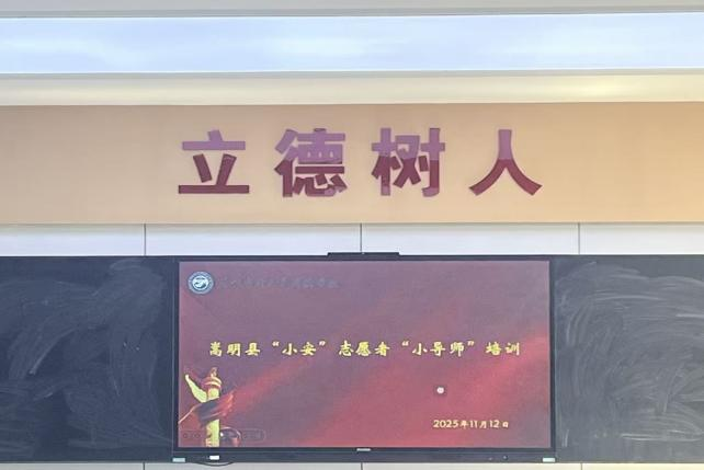 提升安全意识  强化队伍建设——我校小安志愿者参加小导师培训